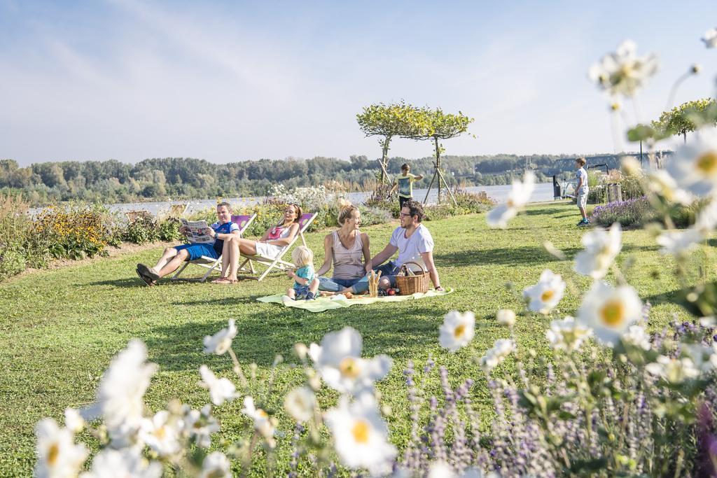 Hotel Tullnerfeld Tulln An Der Donau Esterno foto